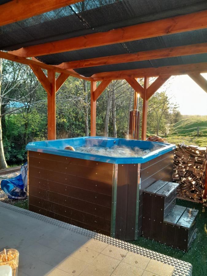 Pensjonat Agroturystyczny Pod Modrzewiem Bed & Breakfast Florczaki Luaran gambar